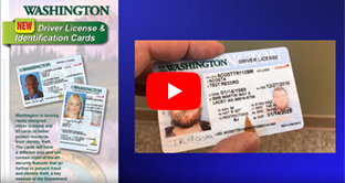 New WA Driver License and Identification Cards